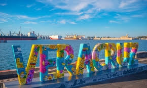 Veracruz Letters