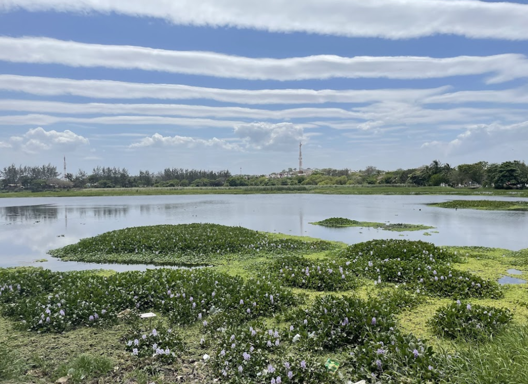 Laguna Lagartos