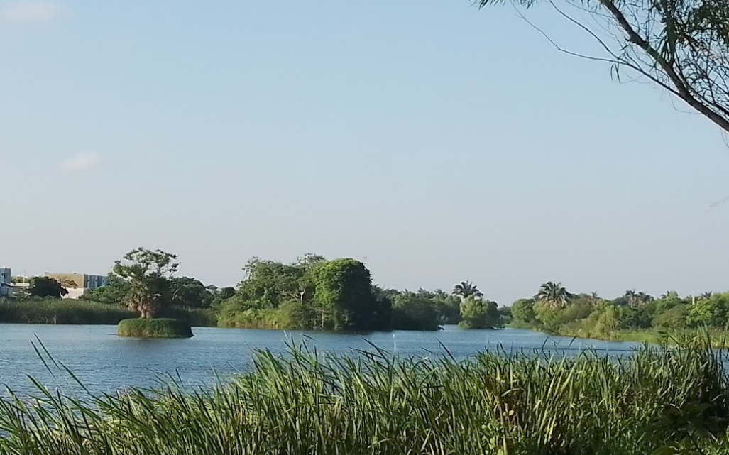 Laguna Tarimoya