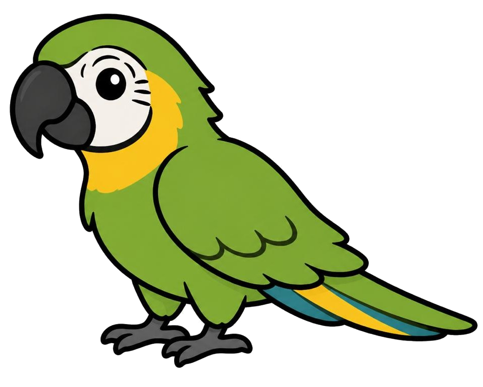 Military Macaw