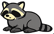 Raccoon