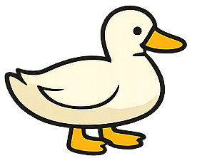 Muscovy Duck