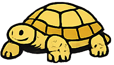 Land Tortoise
